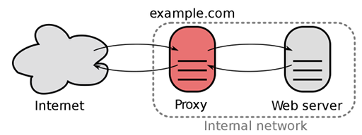 Proxy Inverso